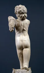 Vista posteriore del 